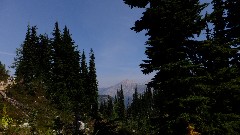 Maple Heather Trail; Cascades, WA