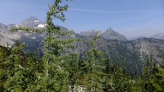 Maple Heather Trail; Cascades, WA