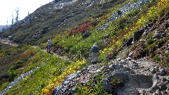Maple Heather Trail; Cascades, WA