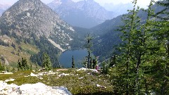 Maple Heather Trail; Cascades, WA