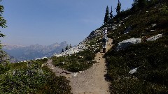Maple Heather Trail, WA