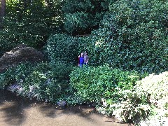 Sarah Elizabeth Derry; Ben Dorrough; Kubota Gardens; Seattle, WA