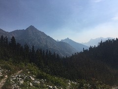 Maple Heather Trail; Cascades, WA