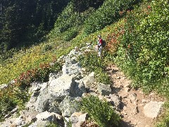 Maple Heather Trail; Cascades, WA
