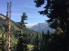 Maple Heather Trail; Cascades, WA