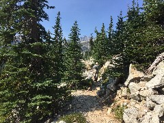 Maple Heather Trail; Cascades, WA