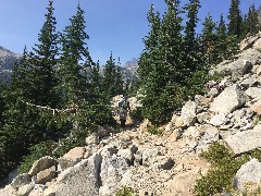 Maple Heather Trail; Cascades, WA