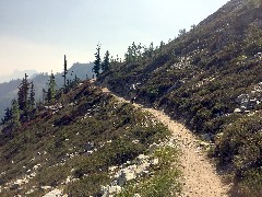 Maple Heather Trail; Cascades, WA