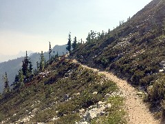 Maple Heather Trail; Cascades, WA