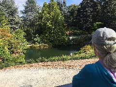 Ruth Bennett McDougal Dorrough; Kubota Garden; Seattle, WA