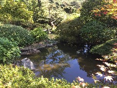 Kubota Garden; Seattle, WA