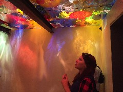 Sarah Elizabeth Derry; Chihuly Garden and Glass; Seattle, WA