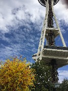 Chihuly Garden and Glass; Space Needle; Seattle, WA