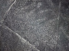 Nasca Peru South America Trips