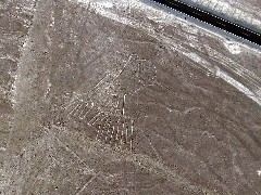 Nasca Peru South America Trips