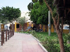 Peru South America Trips