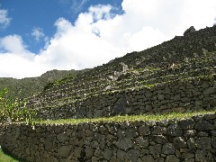 Machu Picchu Peru South America Trips