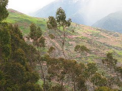 Hang Gliders Peru South America Trips