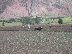 Peru South America Trips