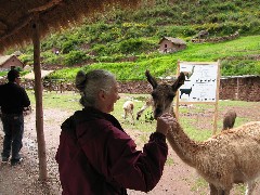 Roberto Durant; Ruth Dorrough; Alpaca Farm Peru South America Trips