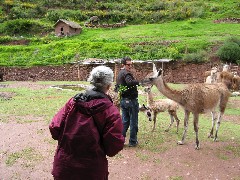 Ruth Dorrough; Roberto Durant; Alpaca Farm Peru South America Trips