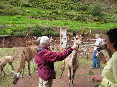 Ruth Dorrough; Sara Gilbert; Alpaca Farm Peru South America Trips