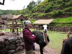 Ruth Dorrough; Alpaca Farm Peru South America Trips