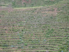 Peru South America Trips