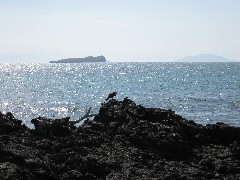 Baltra Galapagos Islands Ecuador South America Trips