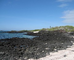 Baltra Galapagos Islands Ecuador South America Trips