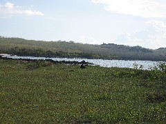Baltra Galapagos Islands Ecuador South America Trips