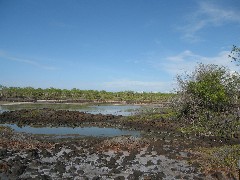 Baltra Galapagos Islands Ecuador South America Trips