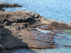 Bartolome Galapagos Islands Ecuador South America Trips