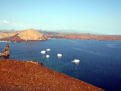 Bartolome Galapagos Islands Ecuador South America Trips