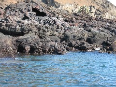 Sullivan Bay Galapagos Islands Ecuador South America Trips