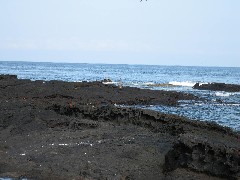 Puerto Egas Galapagos Islands Ecuador South America Trips