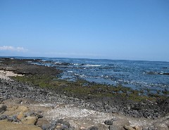 Puerto Egas Galapagos Islands Ecuador South America Trips