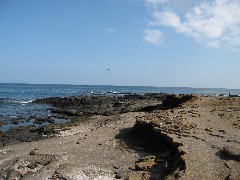 Puerto Egas Galapagos Islands Ecuador South America Trips