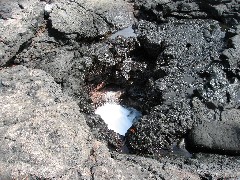 Puerto Egas Galapagos Islands Ecuador South America Trips