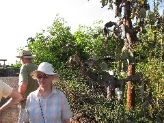 Jim Inman; Ruth Dorrough; Darwin Center Ecuador South America Trips cactus