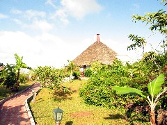 Royal Palm Hotel Ecuador South America Trips