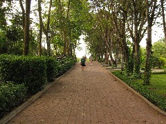 Royal Palm Hotel Ecuador South America Trips