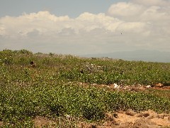Ecuador South America Trips