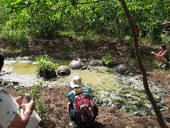 Giant Turtle; Tortoises Wild Ecuador South America Trips