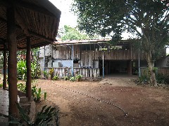 Sugar Cane Coffee Plantation Ecuador South America Trips