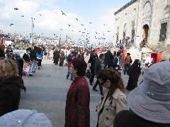 Trips; Turkey; Istanbul
