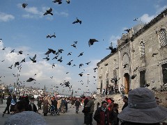 Trips; Turkey; Istanbul