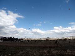 Trips; Turkey; Cappadocia; Kites