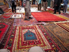 Trips; Turkey; Rug Vendor