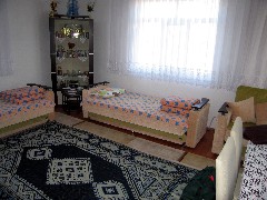 Trips; Turkey; Home Visit